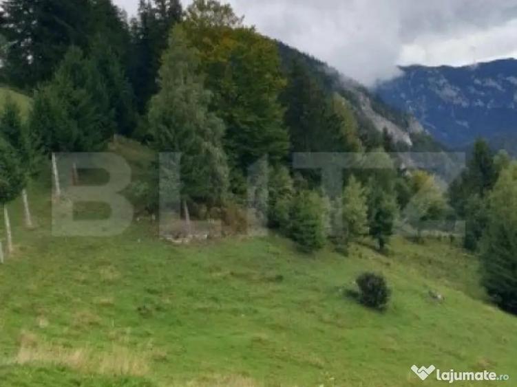 Teren 13.570 mp, Moieciu Pestera - 10