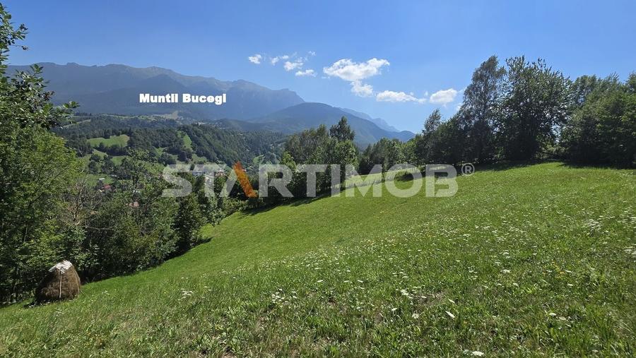 Teren extravilan Bran Podul Simonului - 14