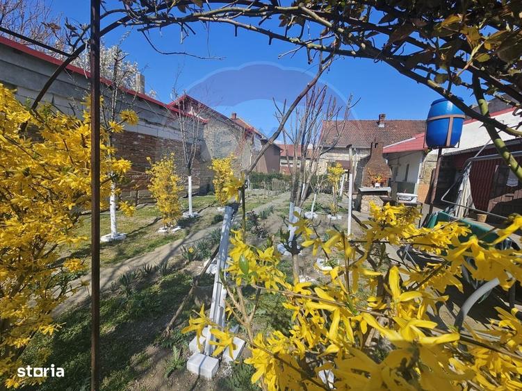Casa de vanzare - 4