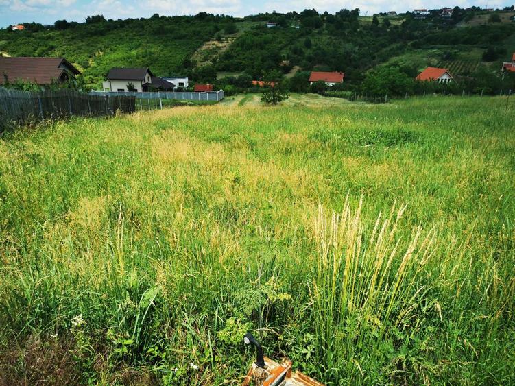 Teren intravilen 2600 mp pe str Livezilor - 3