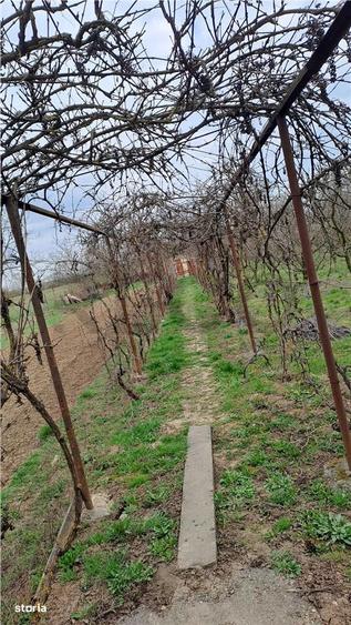 RECO Casa de vanzare in Inand - 11