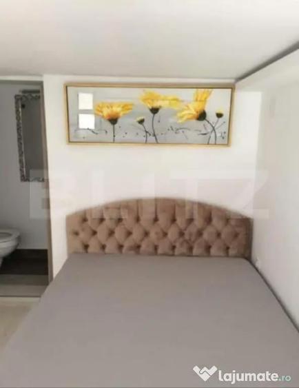 Apartament tip studio, 16,16 mp, strada piata Trandafirilor - 4