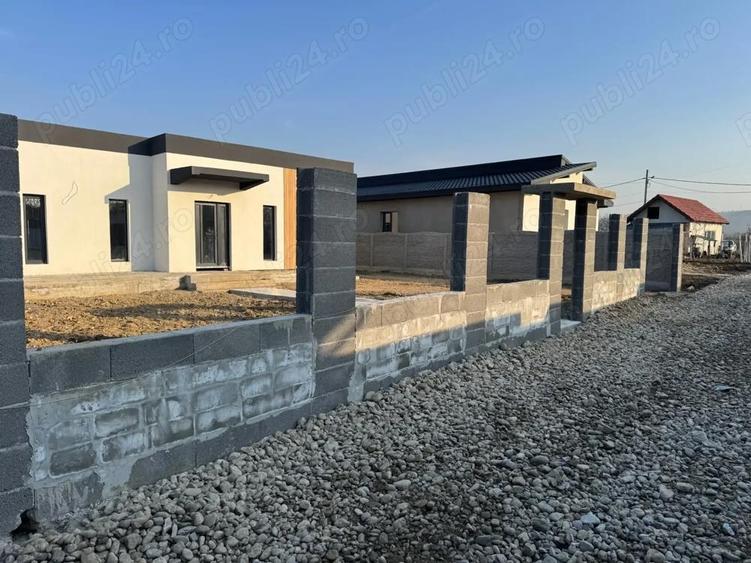 Casa de vis in ?imian - 5