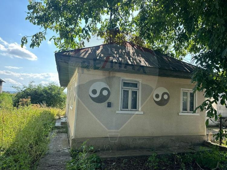 Teren intravilan 3.765 mp cu casă – Bodești de Jos - 10