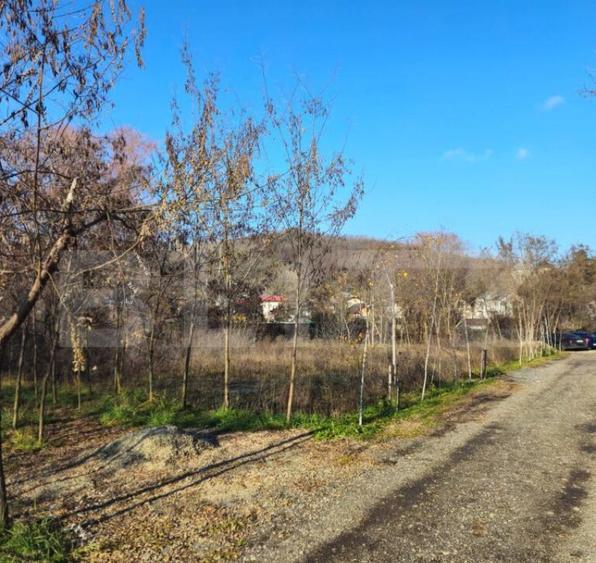 Teren intravilan 738 mp, zona Viforata, Comision 0 - 5