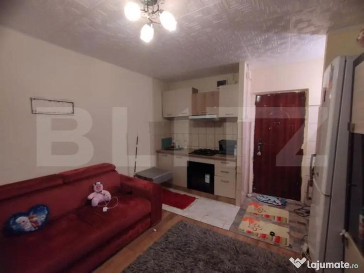 Camera camin, 17 mp, zona Bularga - 1