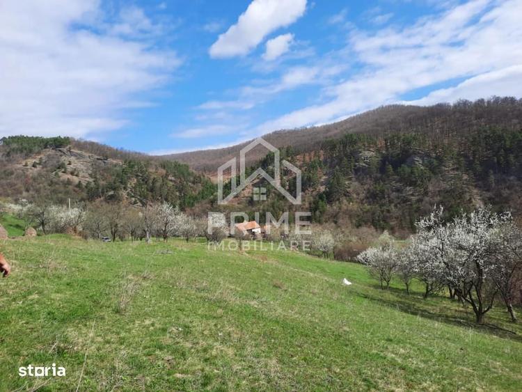 Teren Intravilan 13700 Mp, Inuri, Vintu De Jos - 2