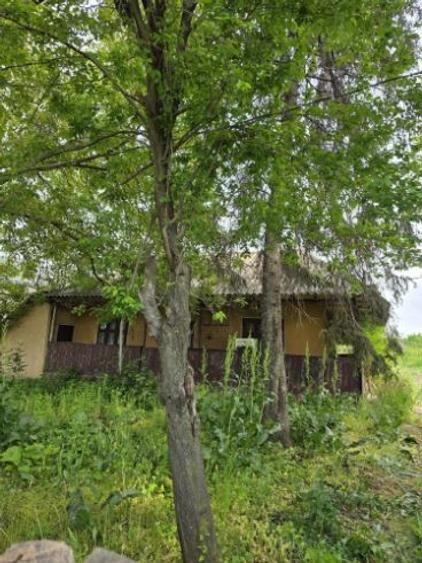 Casă cu 2 camere în Moara Vlăsiei - 2