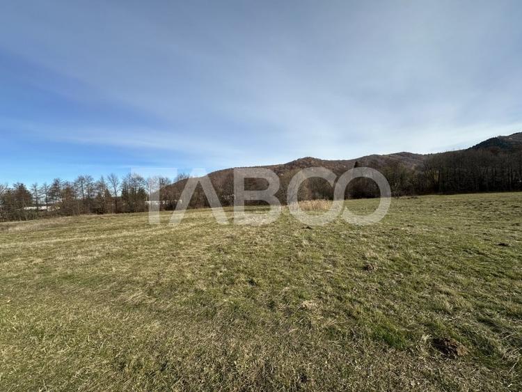 COMISION 0% Teren extravilan 1630 mp langa Rau pe Valea Sebesului - 3