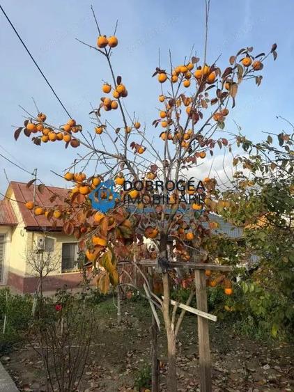 Caslita, casa BCA, iesire la Lac, teren 800 mp - 2