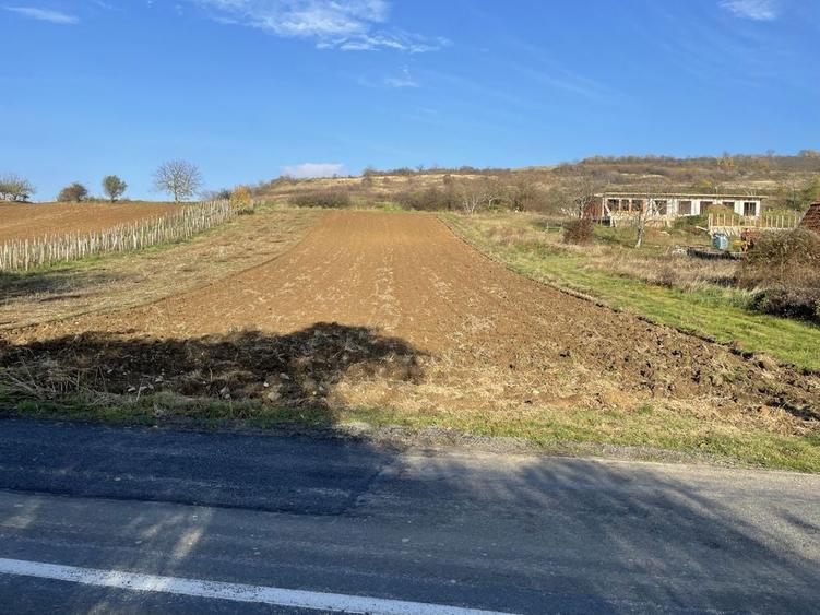 Vand teren la Dunare, DN 57, Liubcova (comuna Berzasca) - 4