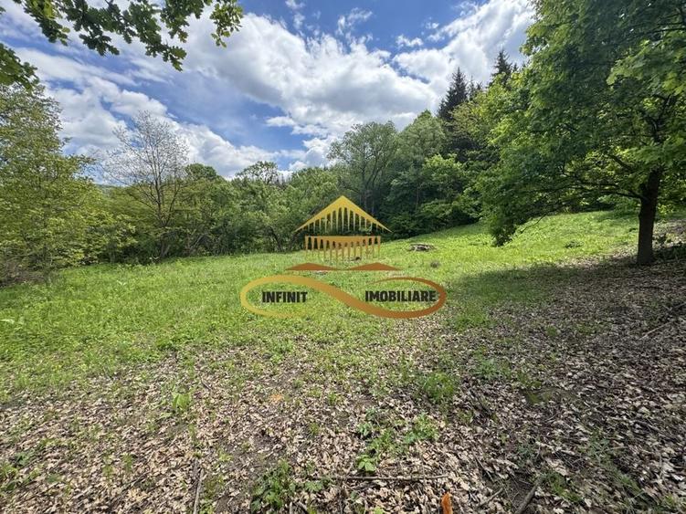 Teren intravilan | 3.128 mp INTRAVILAN | Luncani-de vanzare - 7