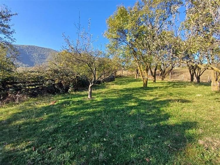 Teren de vanzare cu toate utilitatile la poarta - 5