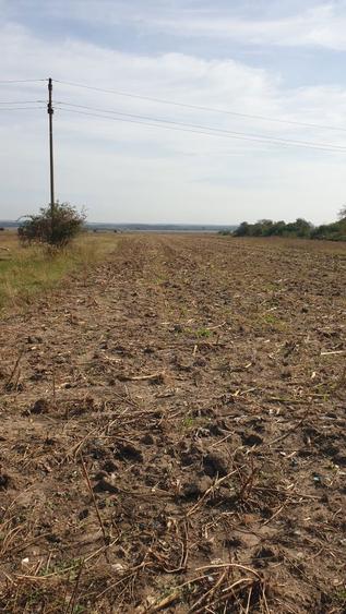 Teren intravilan - 1