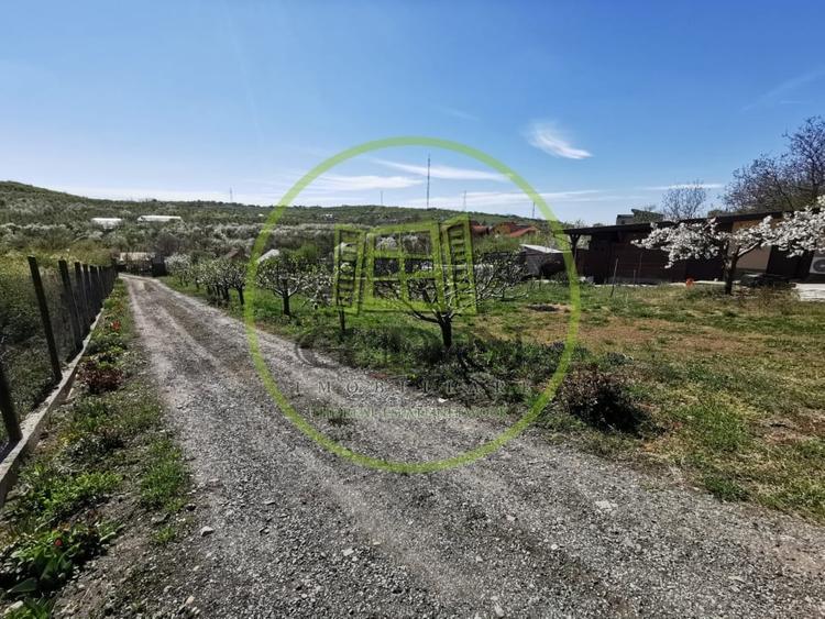 Teren intravilan si extravilan cu anexa gospodareasca amenajata, cu utilitati - 9