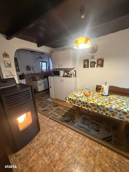 Casa de vacanta zona deal, 27km de Buzau - 4
