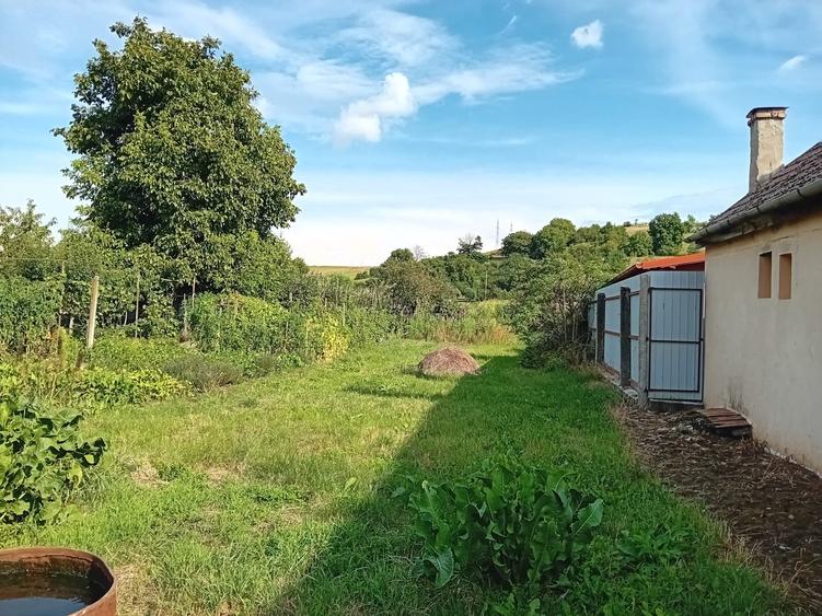 DE vanzare casa curte comuna in Cristesti - 4