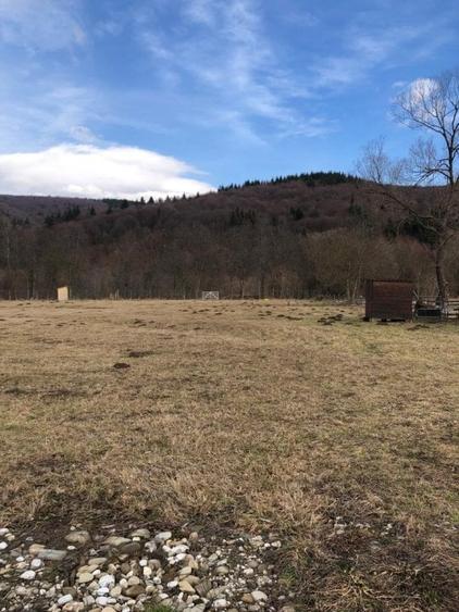 Oportunitate de investitie - 1