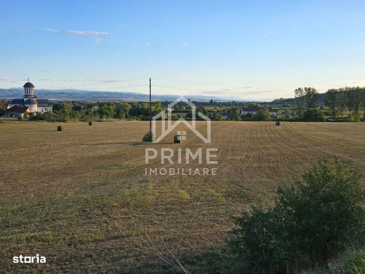 Teren intravilan 10200 mp, utilitati la limita parcelei - Alba Iulia - 1