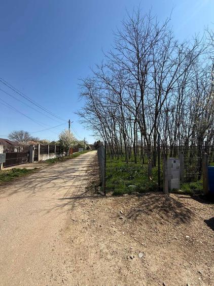 Vand teren intravilan Gruiu-Lipia - 2