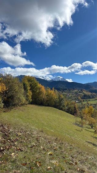 Vand teren in Bran-Sohodol - 8