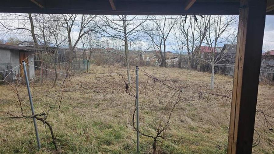 OFERTA REZERVATA!!Pet friendly! Casa singura in curte, cu gradina, Sanpetru, Bra - 4