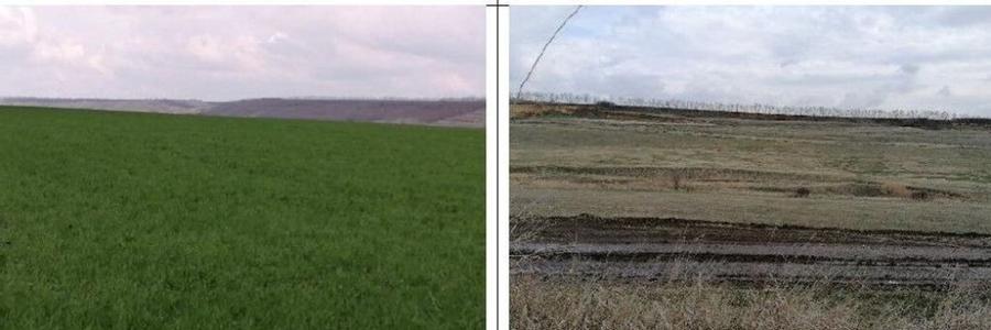 Teren extravilan Tiganasi, cota parte 1/5, ID: R2822453 - 7