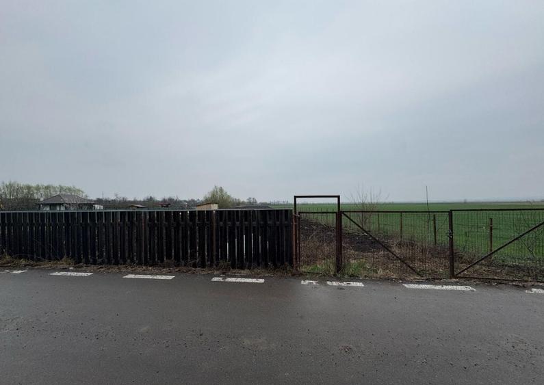 Teren intravilan de vanzare in Filipesti - 1