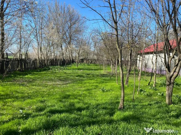Teren 4975 mp situat in intravilanul satului Belciug, Dragan - 12