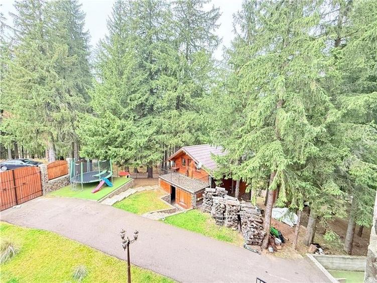 Propietate unicat de vanzare in Sibiu zona turistica Paltinis - 27