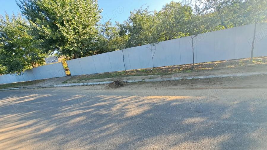 Galati Beresti - De vanzare 1 hectar plantatie de vita de vie si casa cu utilitati - 9