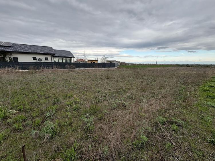 Teren de vânzare în Golești – 3 loturi a câte 530 mp - 3