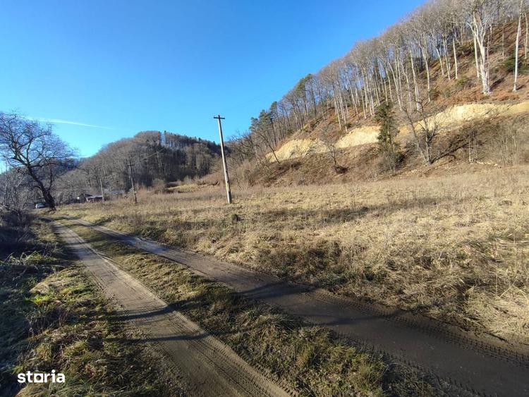 Teren Intravilan 1150mp, Timisu de Jos, Dambul Morii - 2