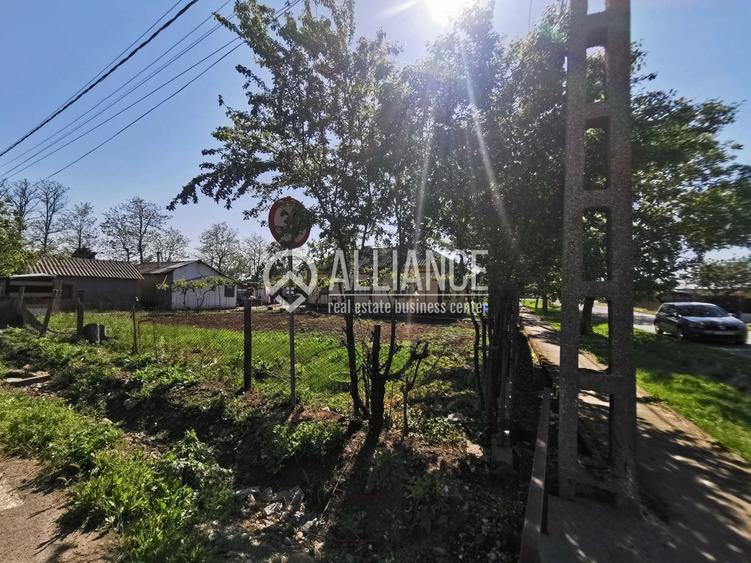 Topraisar casa cu teren 2088 mp - 10