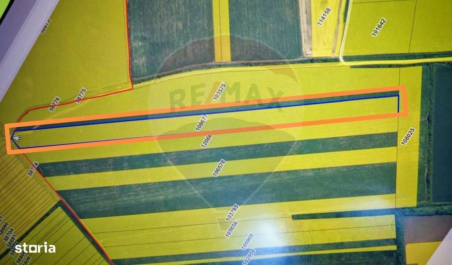 Teren extravilan 33.750 mp I Corbeanca - 1