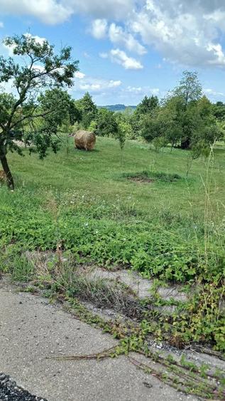 Teren de 100 mp, în Baia Sprie