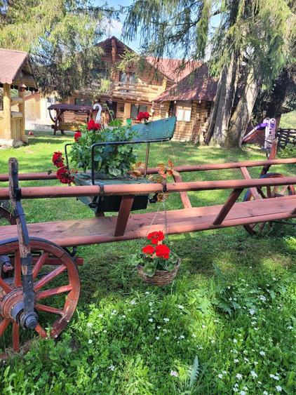 De Vanzare Cabana in   Poiana Negrii cu Clasificare la  Ministerul Turismului - 2