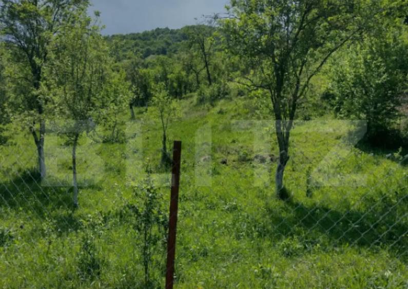 Teren intravilan 3.709 mp, Geoagiu de Sus, Strem? - 3