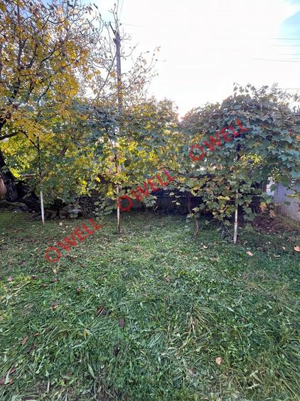 De vânzare în Covasna, pe strada Timar, o proprietate compusă din două case! - 14