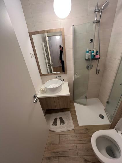 Casa Insiruita,Dumbravita,mobilata si utilata,lux - 9