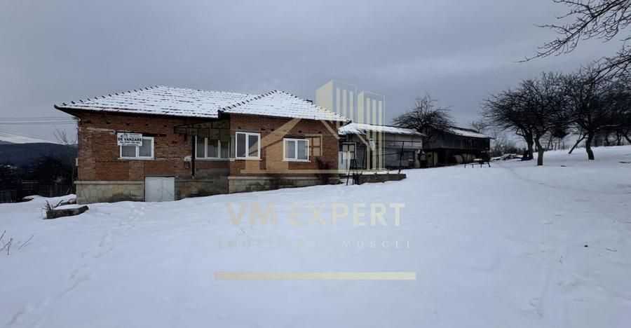 CASA 4 CAMERE TEREN 3038 MP ALBE?TII DE MUSCEL - 17