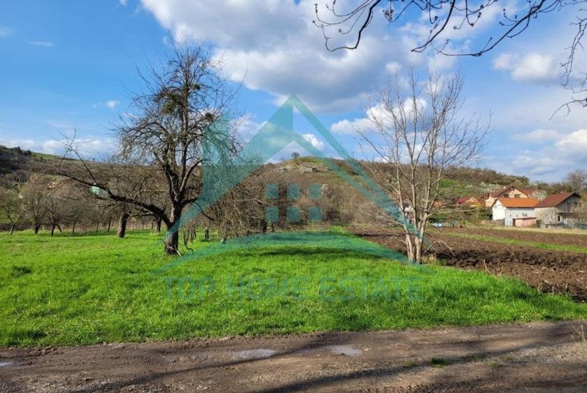 EXCLUSIVITATE! Teren intravilan de vanzare in zona linistita, sat Vlaha! - 9
