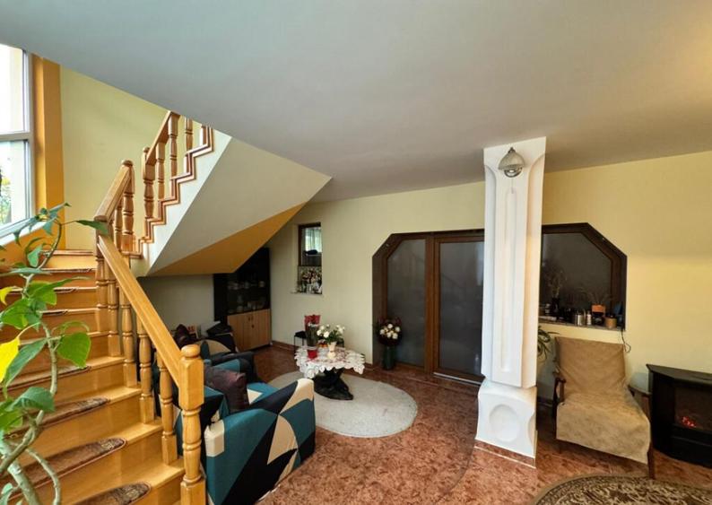 CASA DE VIS SAU AFACERE DE SUCCES BAIA SPRIE - 6