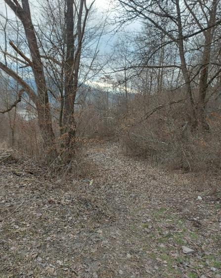 Teren intravilan la drumul na?ional comuna Hangu, Neamt, 5000mp - 6