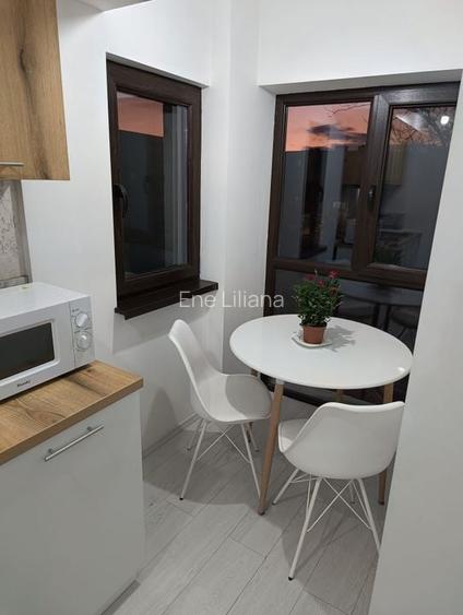 Apartament 1 camera de inchiriat - IC Frimu, 28 mp, complet mobilat