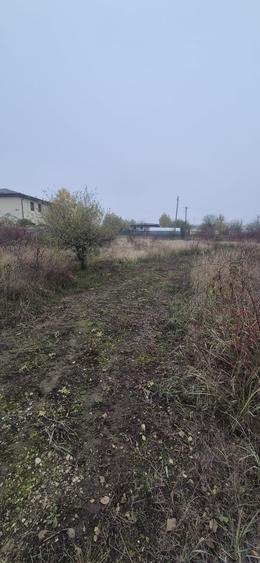 Teren cu autorizatie de construire  Otopeni -Craitelor - 8