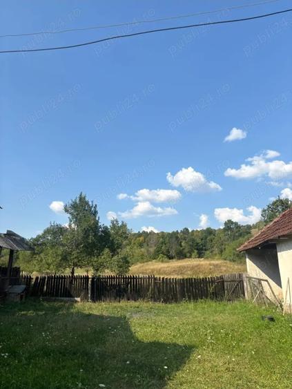 Casa cu teren generos 3000 mp- Grosi, Bihor - 7