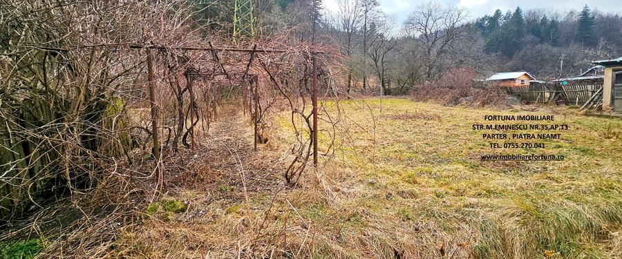 Casa+ Anexa + Teren 3506 mp, com.Alexandru cel Bun - 10