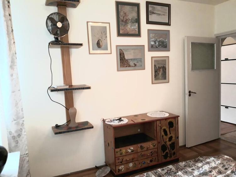 Lacul Tei, Parcul Circului, Lidl, Mega Image, adiacent - 8