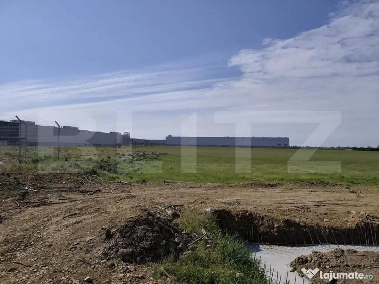 Teren de 10000 mp, în Nufărul